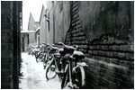 The Old Beijing Hutong Tour Tricycles
