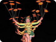 Chinese Acrobatics Show