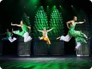 Kung Fu Show