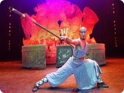 Kung Fu Show
