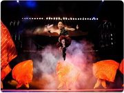 Kung Fu Show