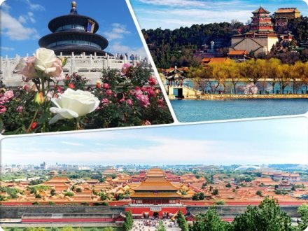 Forbidden City & Temple of Heaven & Summer Palace Tour