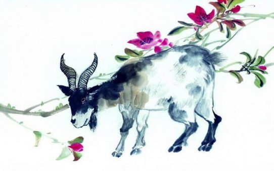 Chinese zodiac – sheep